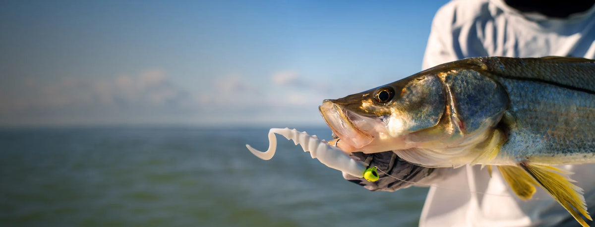 THE SALTWATER FORMULA PERFECTED