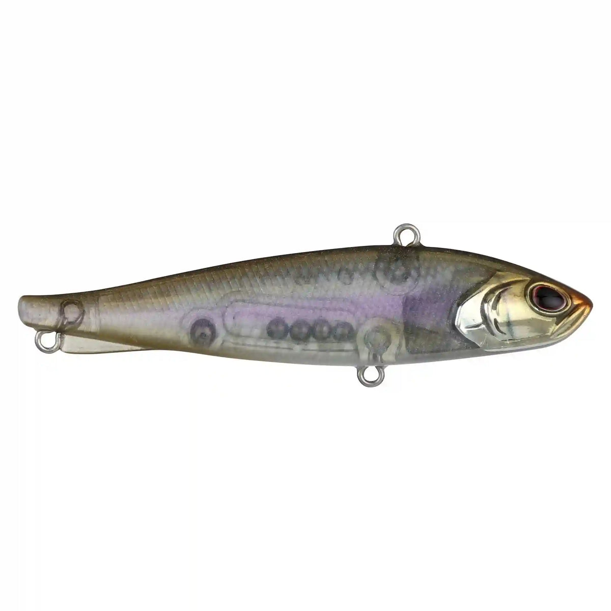 Ripfish