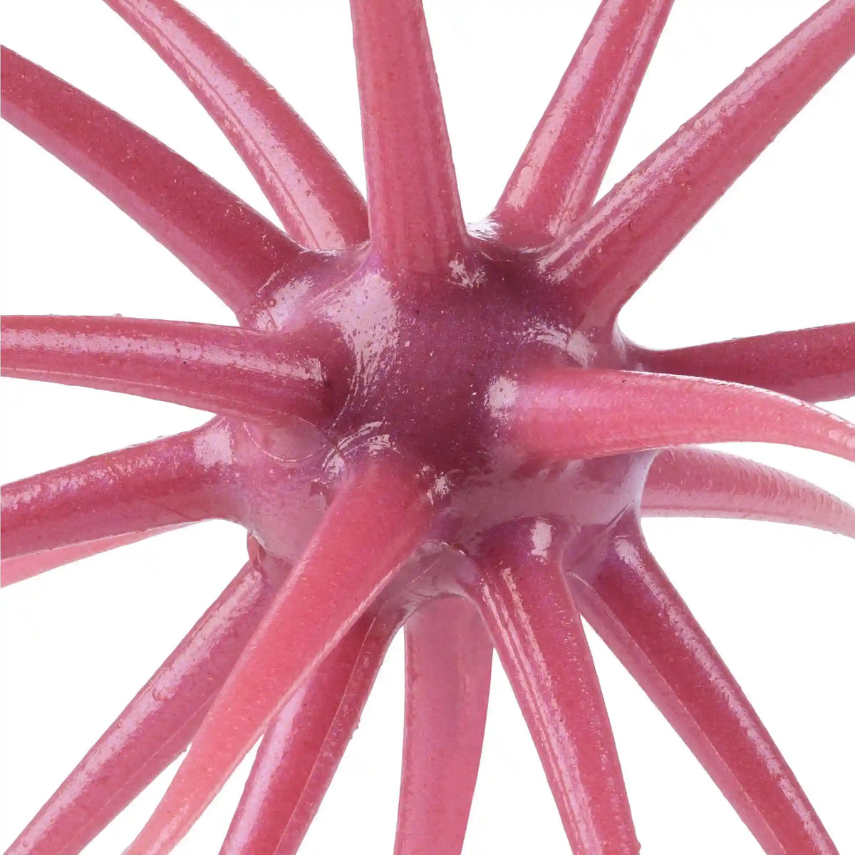 PowerBait® MaxScent 'Moeba