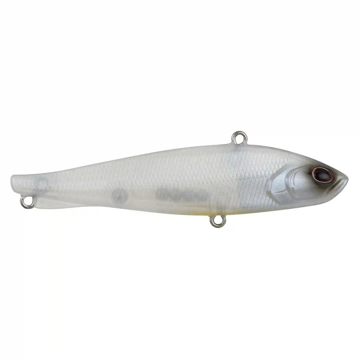 Ripfish