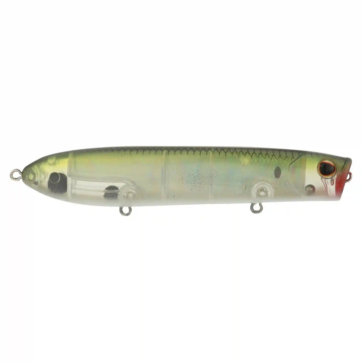 Cane Walker Saltwater
