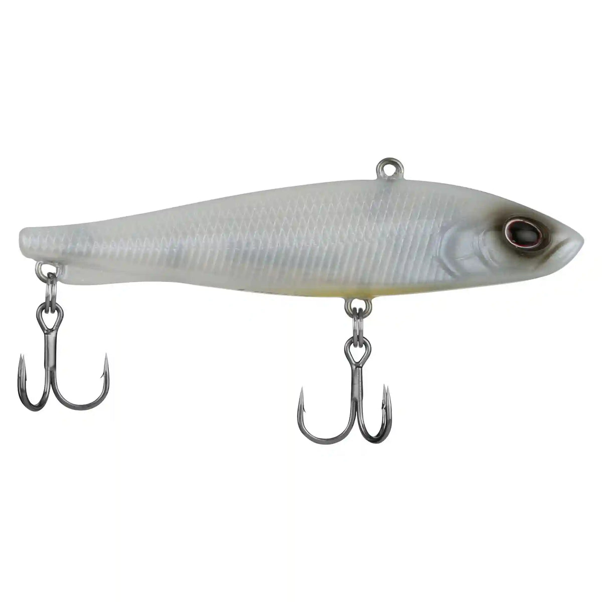 Ripfish