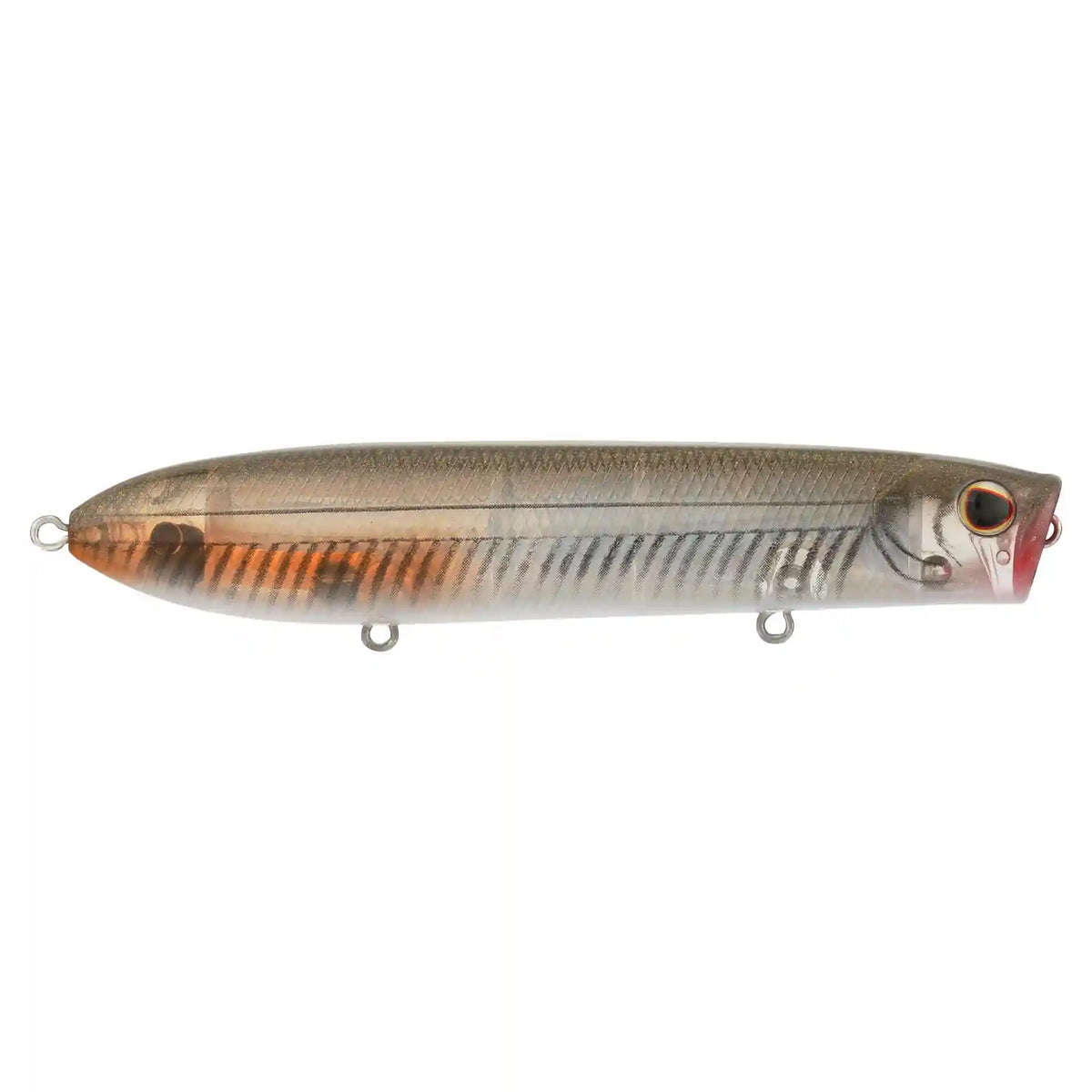 Cane Walker Saltwater