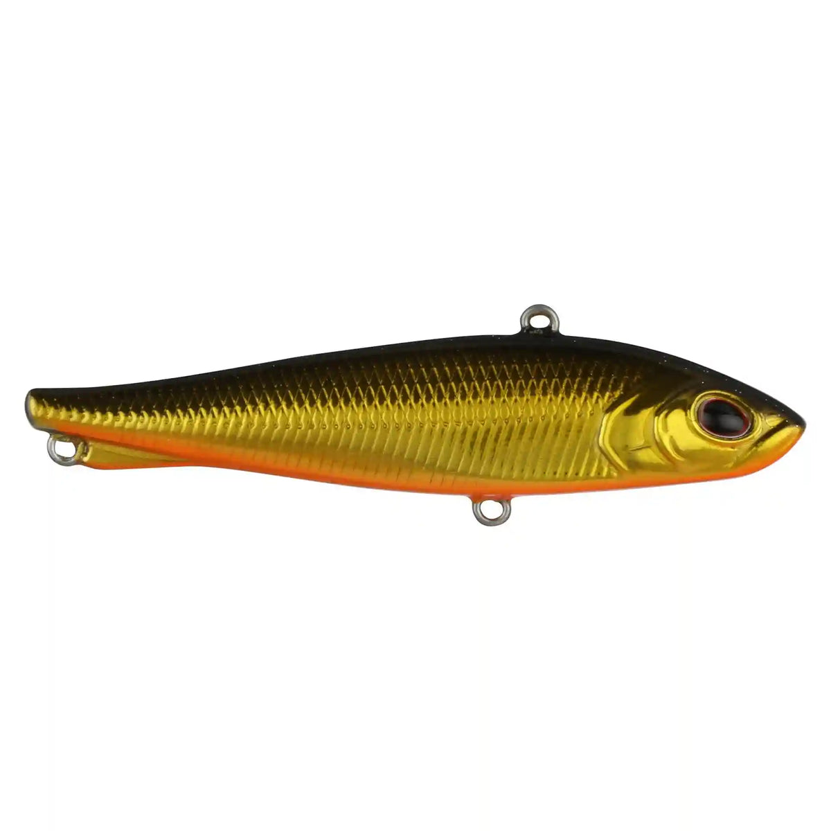 Ripfish