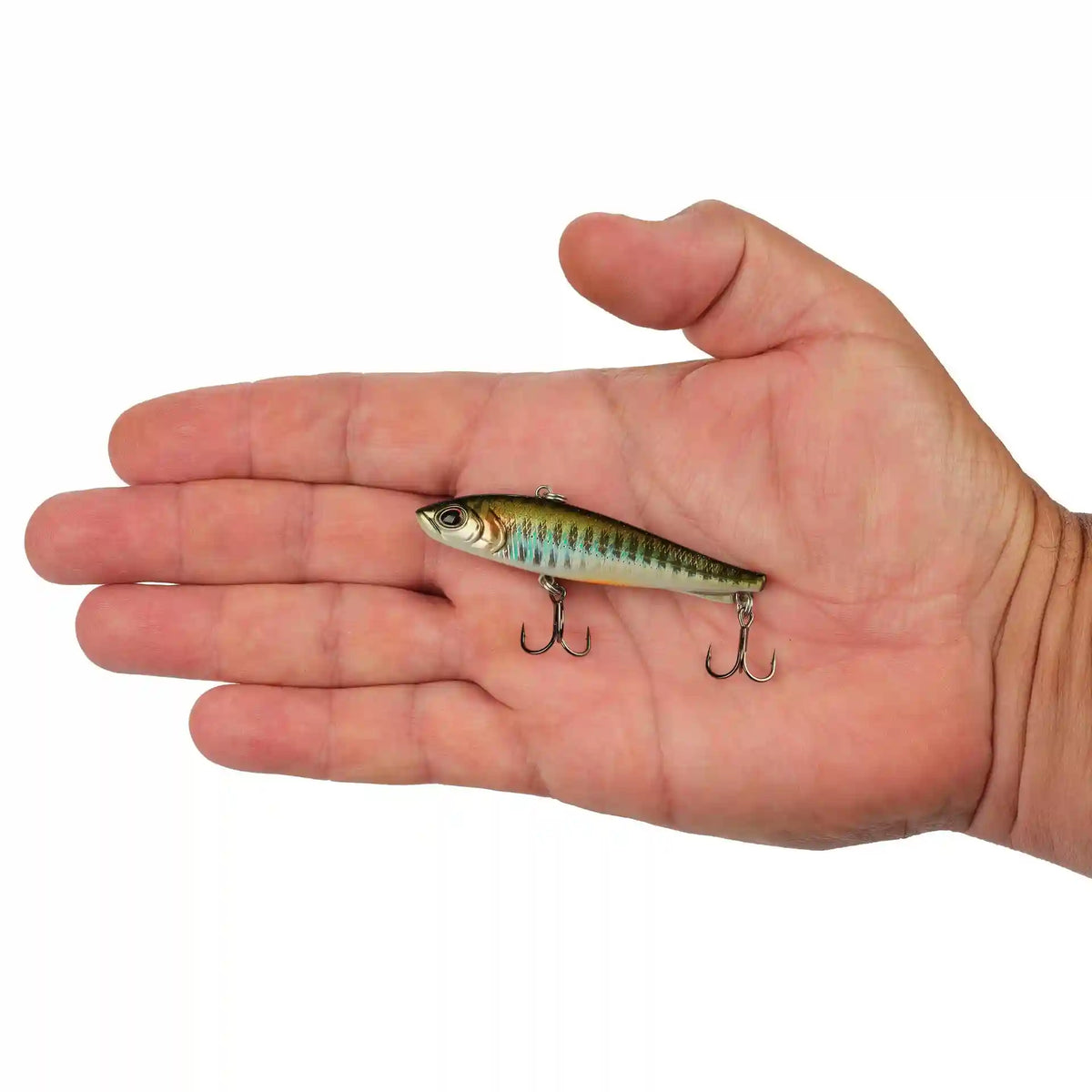 Ripfish