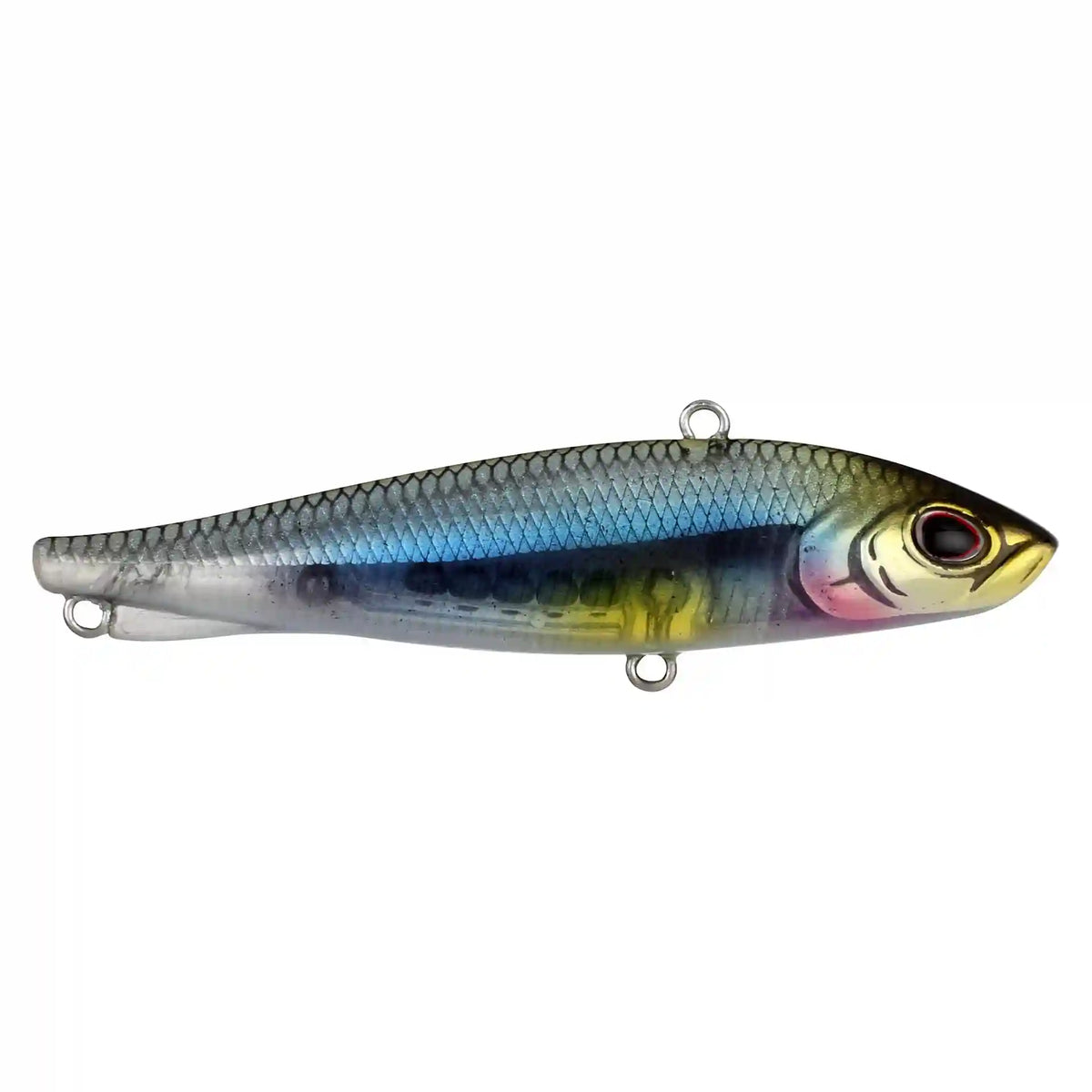 Ripfish