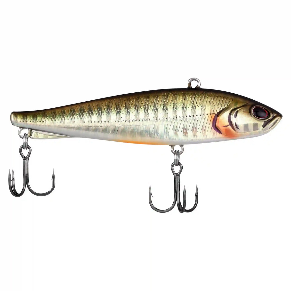 Ripfish