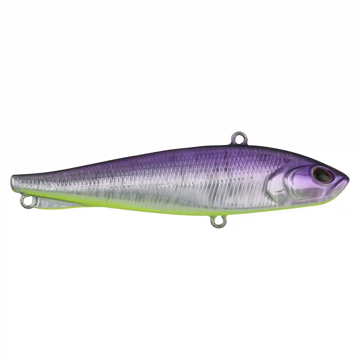 Ripfish