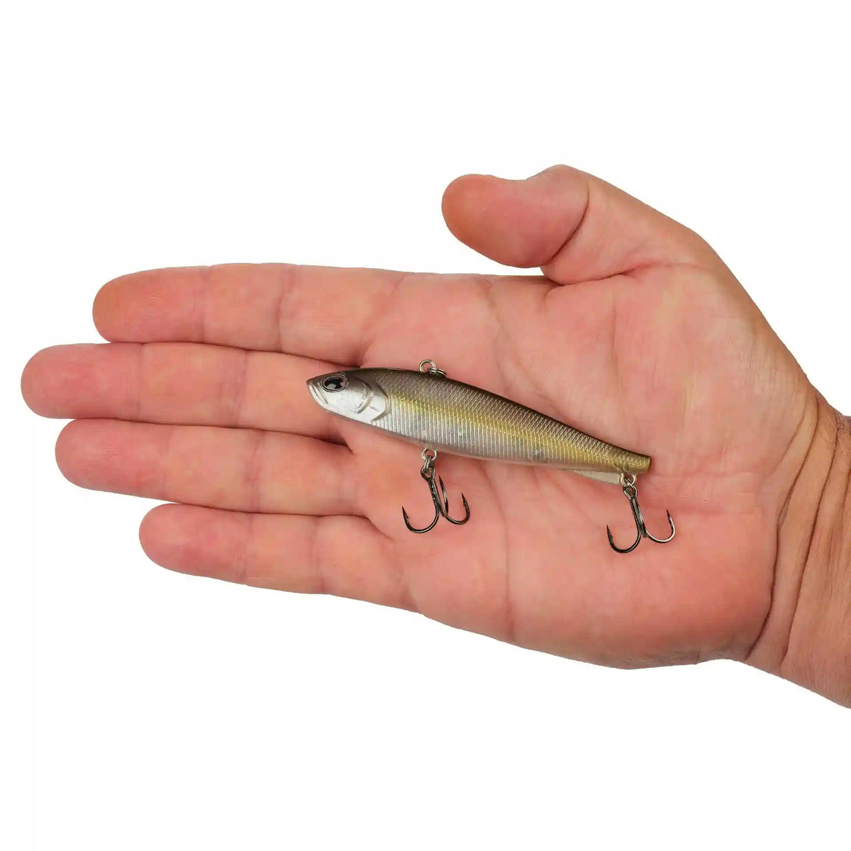 Ripfish