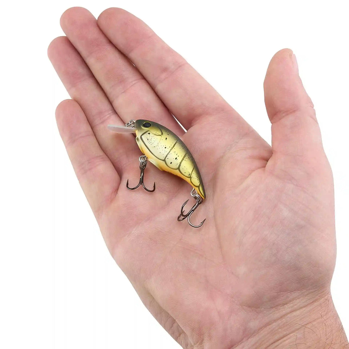 Shallow Money Badger