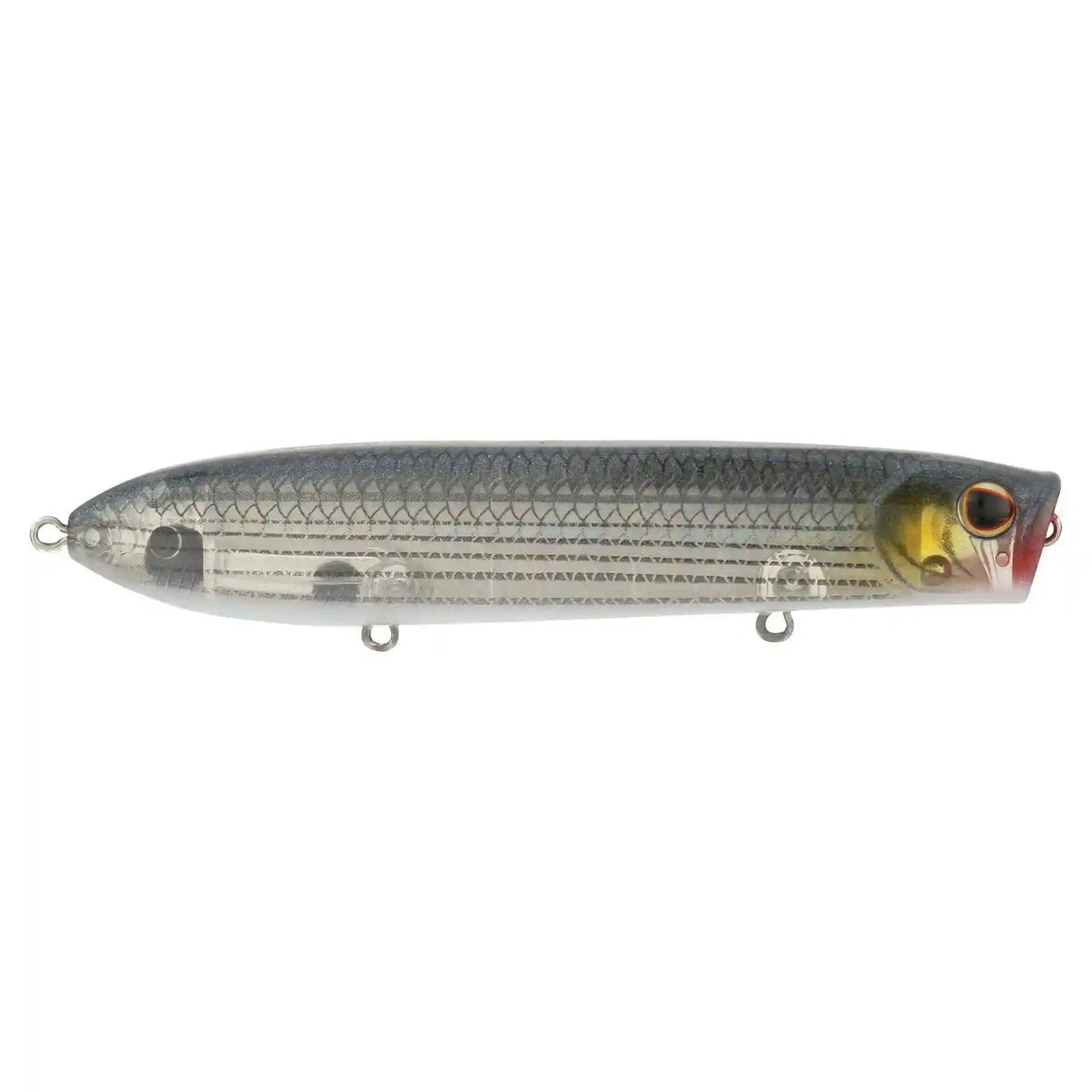 Cane Walker Saltwater
