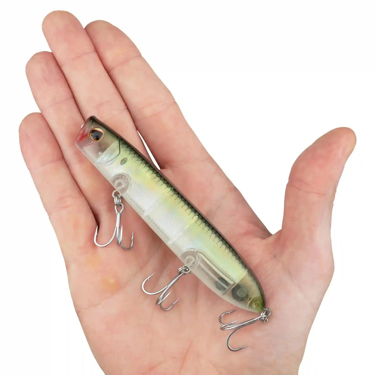 Cane Walker Saltwater