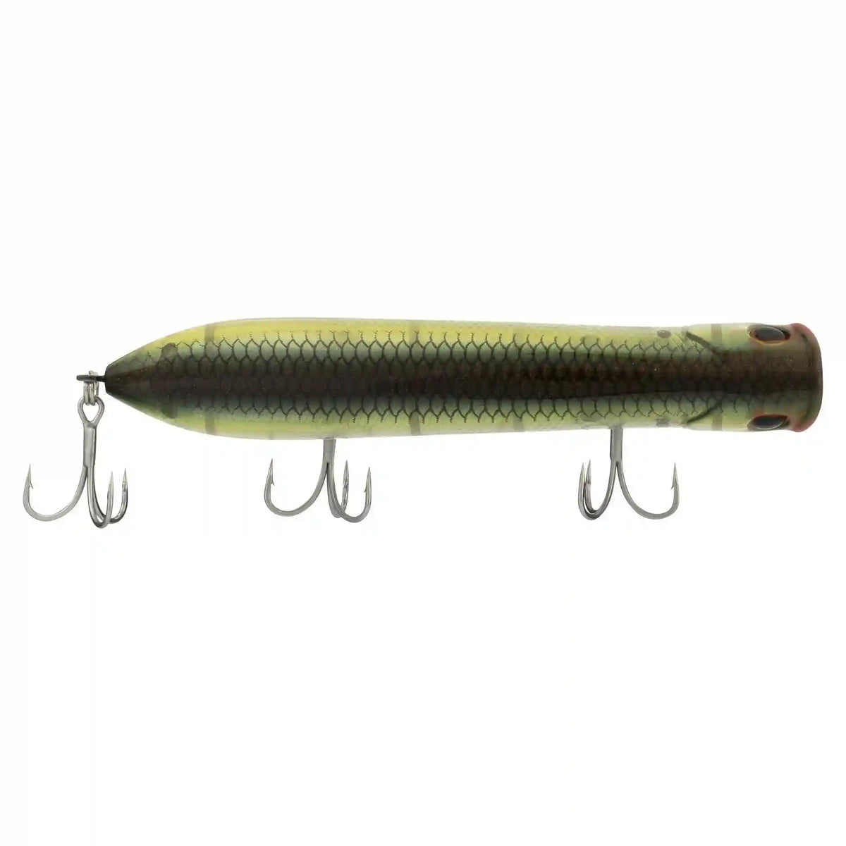 Cane Walker Saltwater