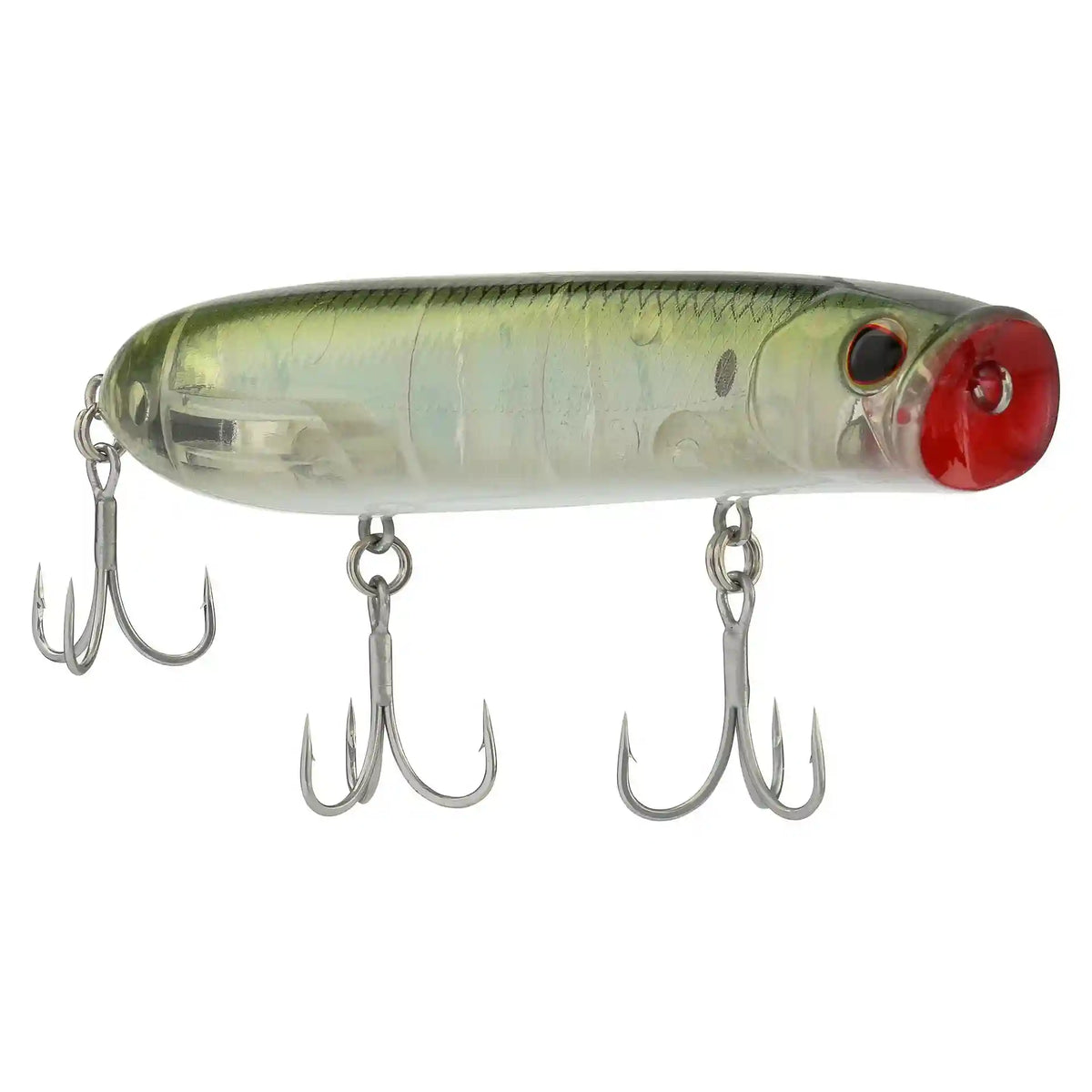 Cane Walker Saltwater