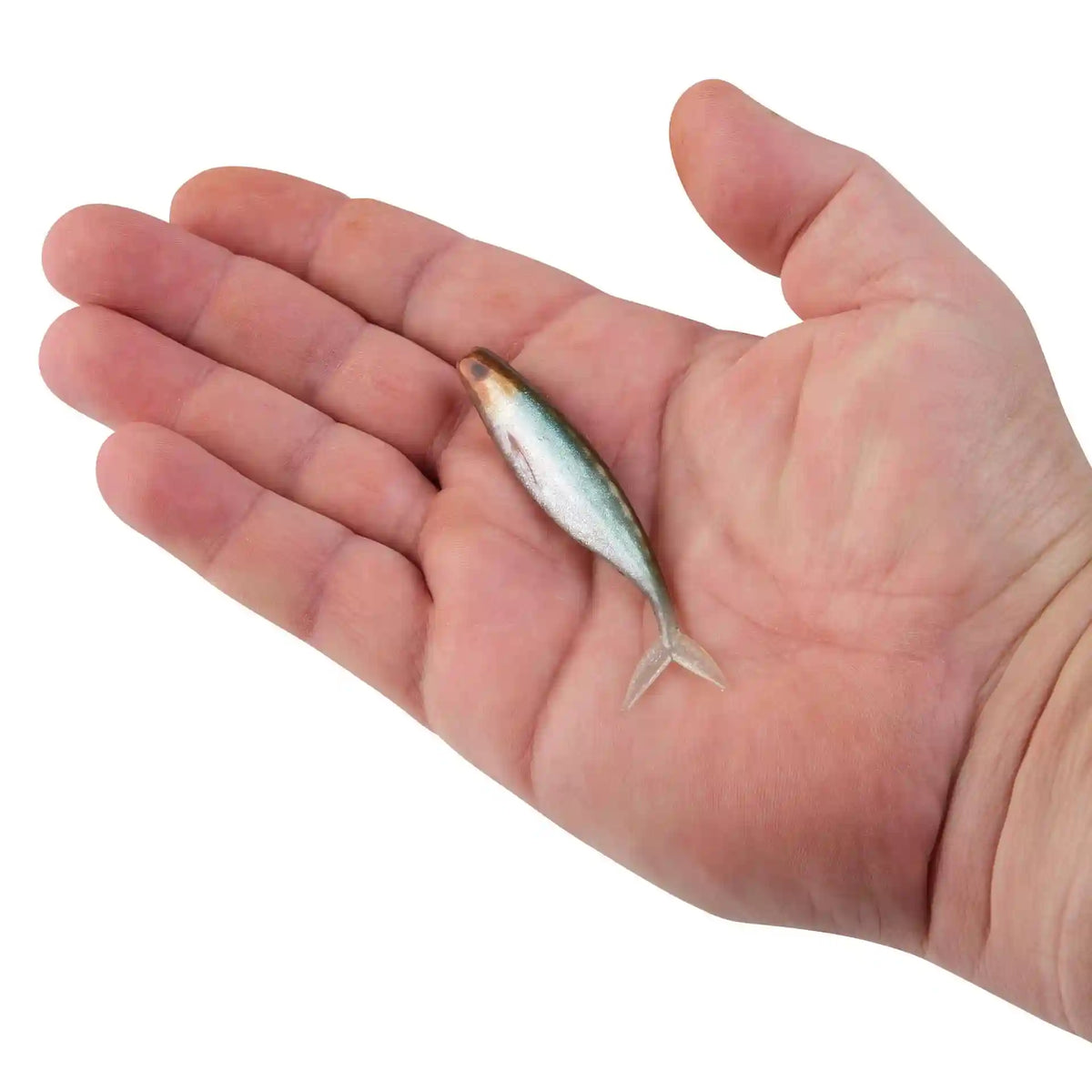 PowerBait® The Champ Minnow