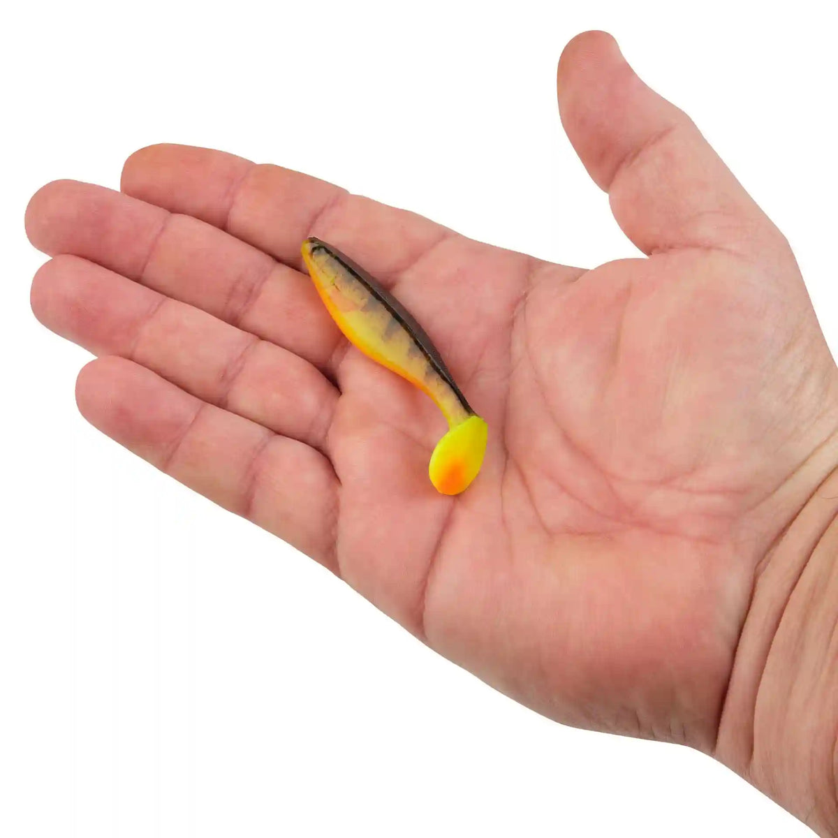 PowerBait® The Champ Swimmer