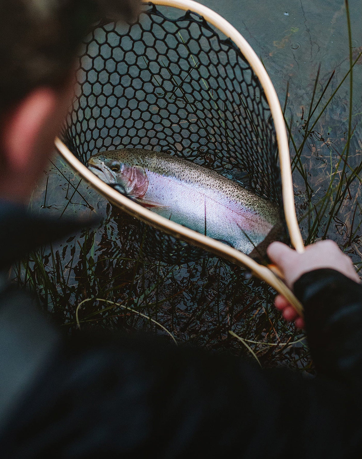 TROUT