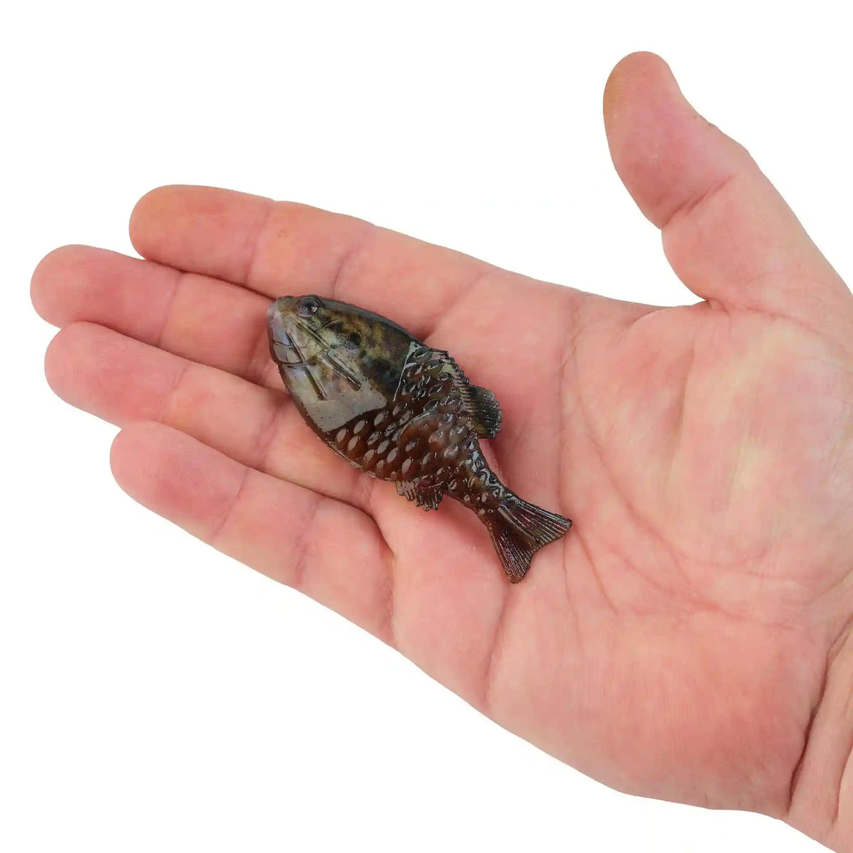 PowerBait® Gilly