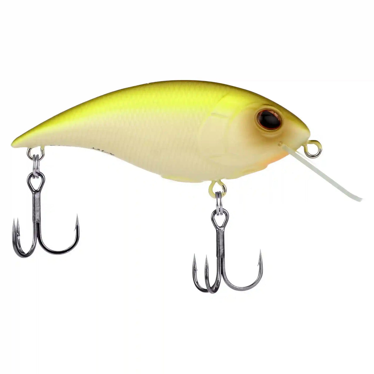 Shallow Money Badger