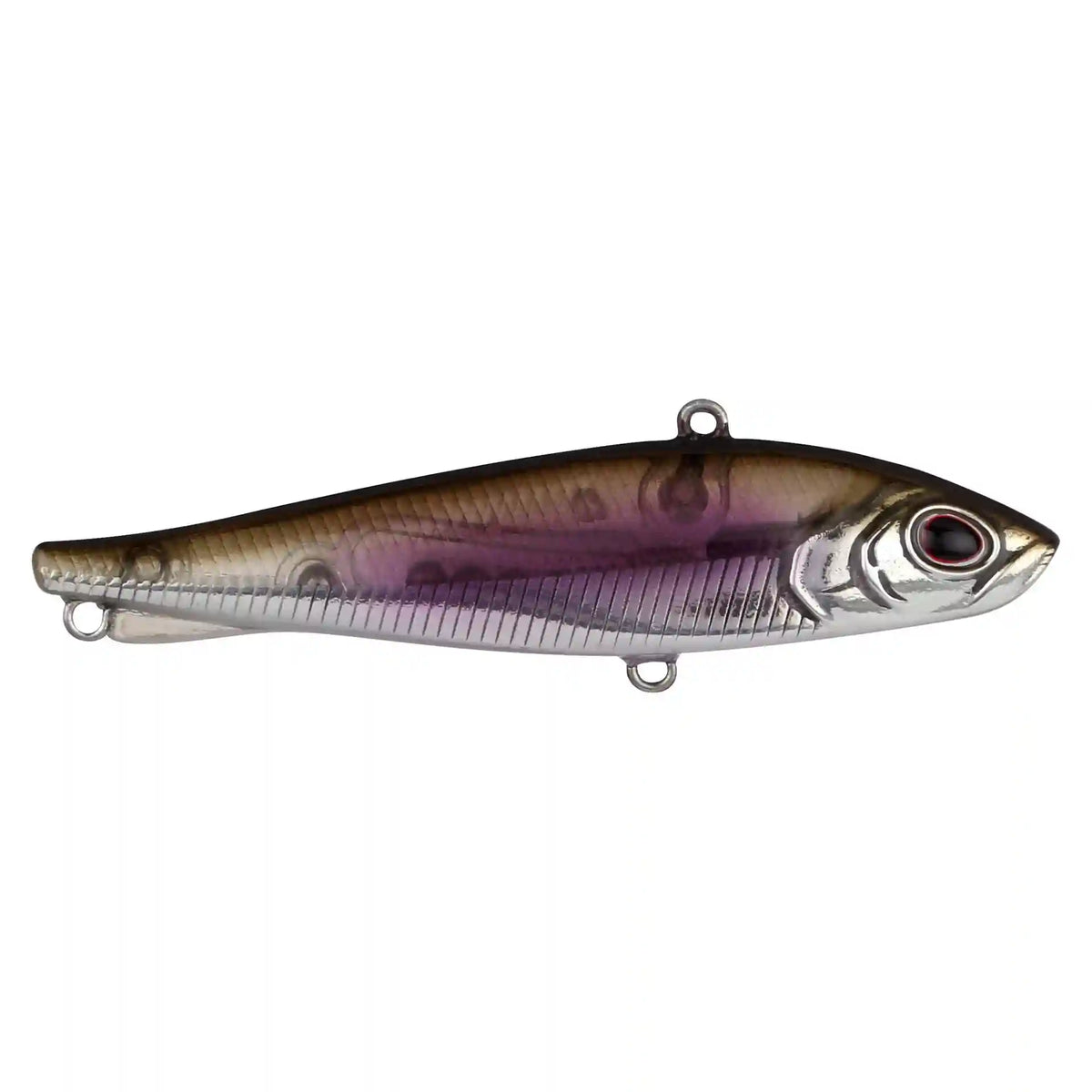 Ripfish