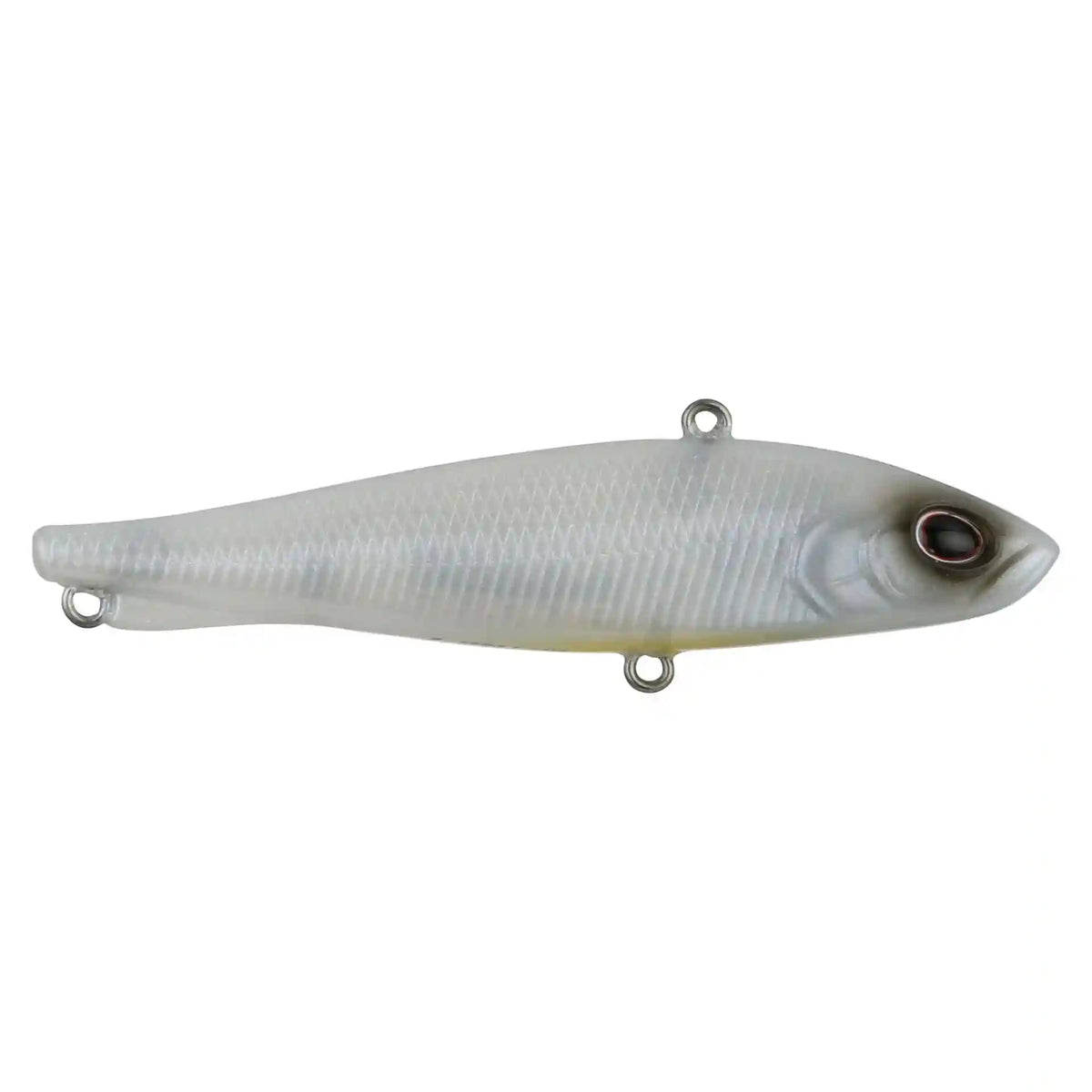Ripfish
